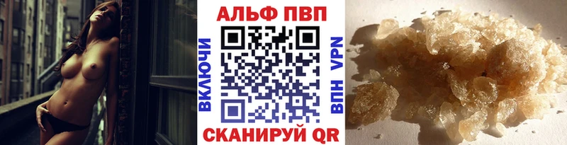 где можно купить Зубцов Альфа ПВП СК КРИС