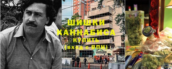 гидра Алексеевка