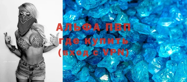 гидра Алексеевка