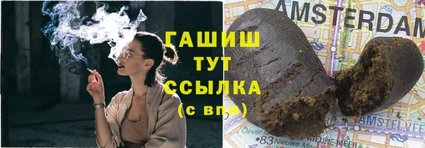 гидра Алексеевка