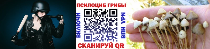 Галлюциногенные грибы Magic Shrooms  shop наркотические препараты  Зубцов 